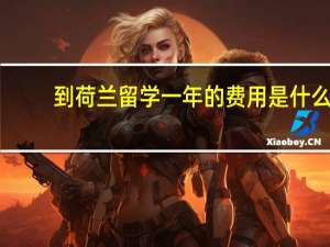 到荷兰留学一年的费用是什么