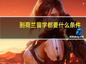 到荷兰留学都要什么条件