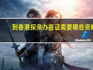 到香港探亲办签证需要哪些资料