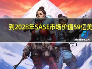 到2028年SASE市场价值59亿美元