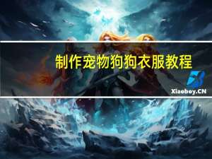 制作宠物狗狗衣服教程