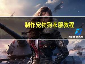 制作宠物狗衣服教程
