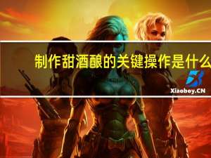 制作甜酒酿的关键操作是什么