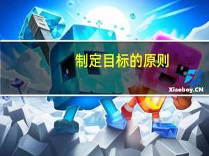 制定目标的原则