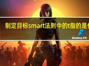 制定目标smart法则中的t指的是什么