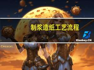 制浆造纸工艺流程