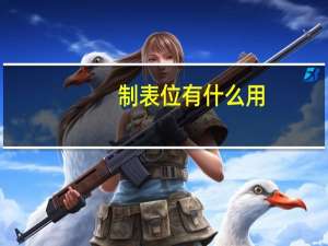 制表位有什么用（制表位是什么意思）