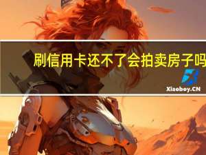 刷信用卡还不了会拍卖房子吗