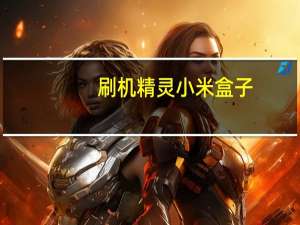 刷机精灵 小米盒子（小米盒子刷机精灵）