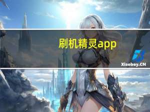 刷机精灵app（刷机精灵怎么用）