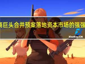 券商巨头合并预案落地 资本市场的强强联合典范