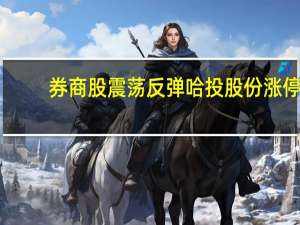 券商股震荡反弹 哈投股份涨停