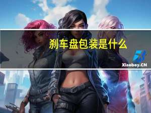 刹车盘包装是什么