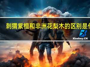 刺猬紫檀和非洲花梨木的区别是什么