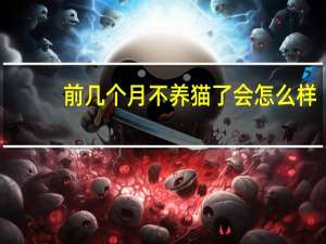 前几个月不养猫了会怎么样