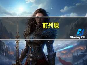 前列腺（关于前列腺的介绍）