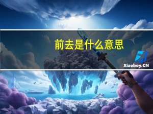 前去是什么意思