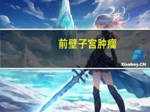 前壁子宫肿瘤