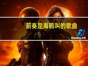 前奏是海鸥叫的歌曲