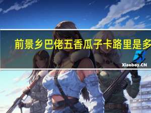 前景 乡巴佬五香瓜子卡路里是多少