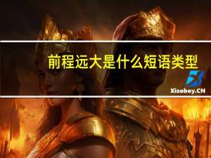 前程远大是什么短语类型
