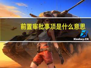 前置审批事项是什么意思