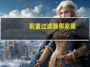 前置过滤器哪家强