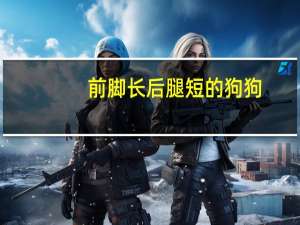 前脚长后腿短的狗狗