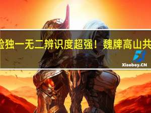 前脸独一无二辨识度超强！魏牌高山共创版官图：国产豪华MPV添强手