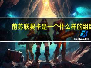 前苏联契卡是一个什么样的组织