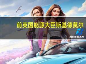 前英国能源大臣斯基德莫尔：英国政府正在错过一个为英国的脱碳和零排放设定愿景的巨大机会