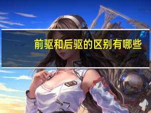前驱和后驱的区别有哪些
