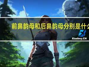 前鼻韵母和后鼻韵母分别是什么