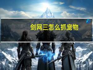 剑网三怎么抓宠物
