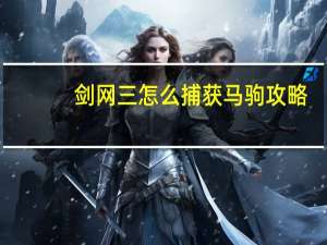 剑网三怎么捕获马驹（《剑网3》剑网3马驹（具）攻略）