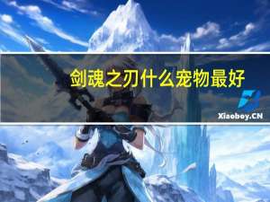 剑魂之刃什么宠物最好