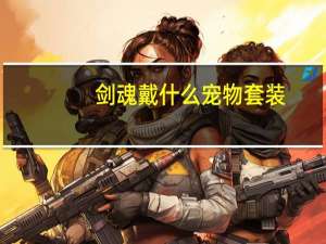 剑魂戴什么宠物套装