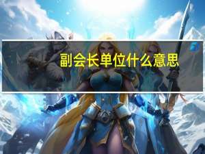 副会长单位什么意思