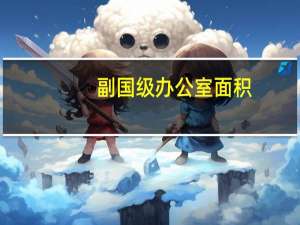 副国级办公室面积