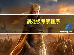 副处级考察程序