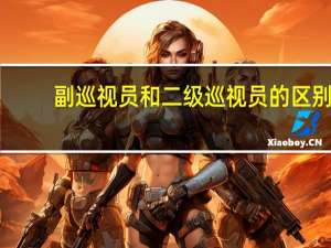 副巡视员和二级巡视员的区别（副巡视员是什么级别）