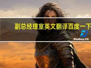 副总经理室英文翻译百度一下（百度一下英文翻译）