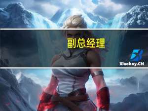 副总经理