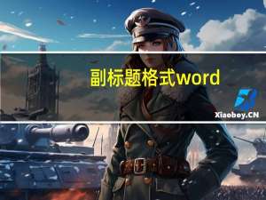 副标题格式word（副标题格式要求）