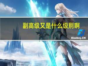 副高级又是什么级别啊