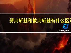 劈荆斩棘和披荆斩棘有什么区别