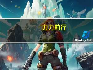 力力前行（力力）