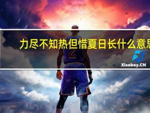 力尽不知热但惜夏日长什么意思