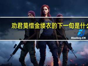 劝君莫惜金缕衣的下一句是什么