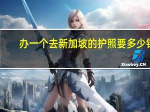 办一个去新加坡的护照要多少钱